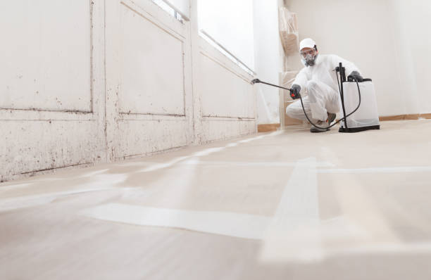 24/7 Emergency Mold Remediation experts in Troy, IL