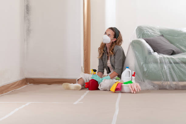 Reliable Mold Remediation contractor in Troy, IL by 24 Hour Mold Removal